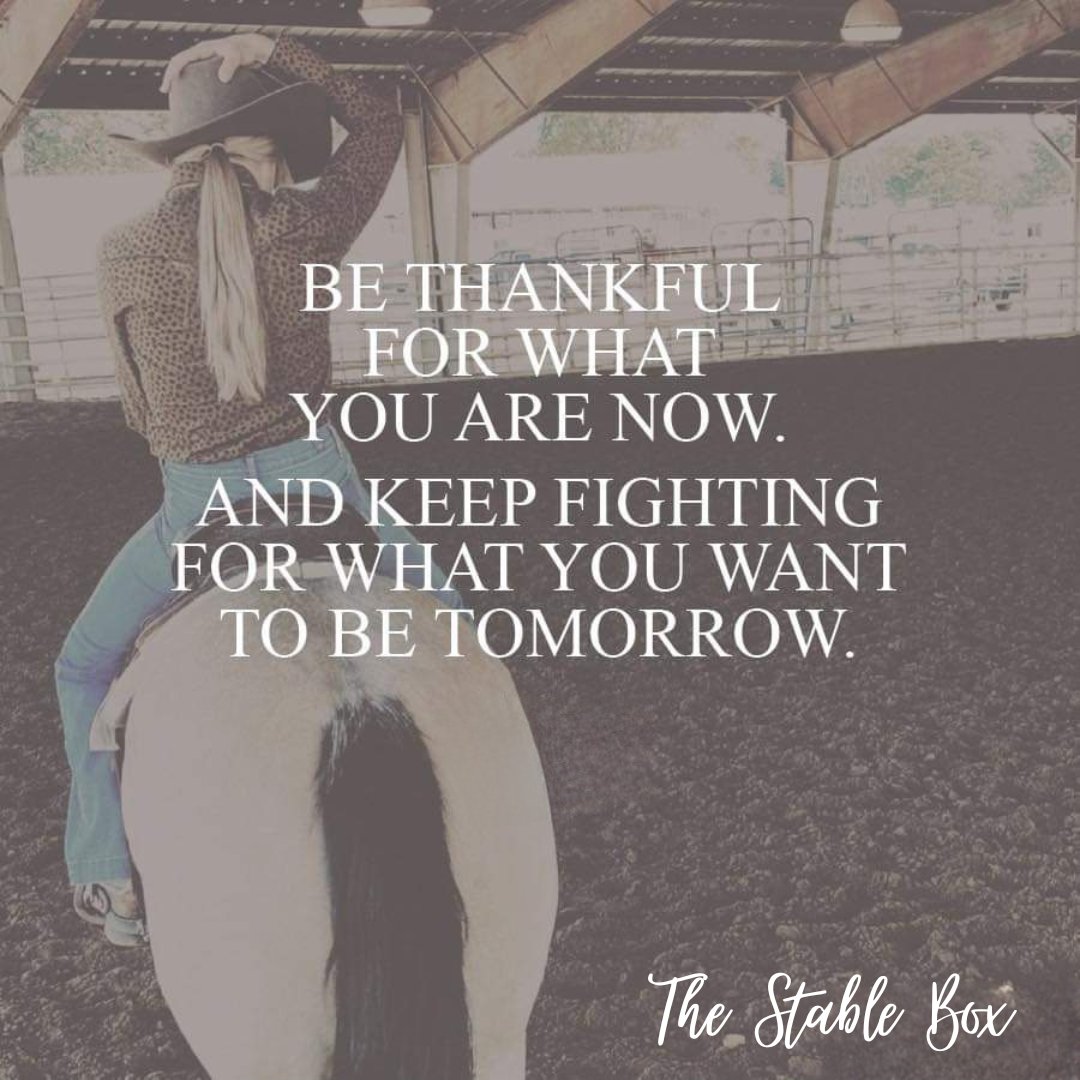 TheStableBox tweet media