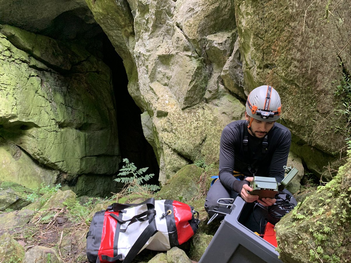 NicholasWuNZ's tweet image. Acoustic loggers from @FaunaTechAU are being deployed near cave entrances across NSW! The car batteries they are connected to will last the whole winter @batslab @AusBats