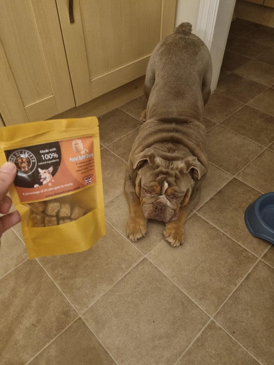 DOC_erc20's tweet image. People I can&apos;t wait to meet at @GOSHCharity #goals4gosh

@tamerhassan 
@Santandave1
@TheShibLord1 
@MrPeterAndre 
All of the #DOCfc team

Let&apos;s do this!! 

#DOC
#DOCpack
#weareDOC
#weareDOGSofCRYPTO