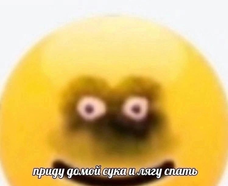настя ахуелова tweet media