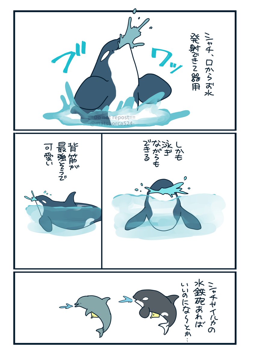 シャチの水びゅわ〜〜〜!可愛いっょぃ