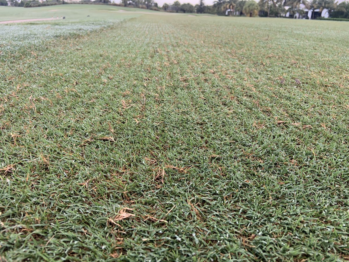 Southern Turfgrass Services tweet media