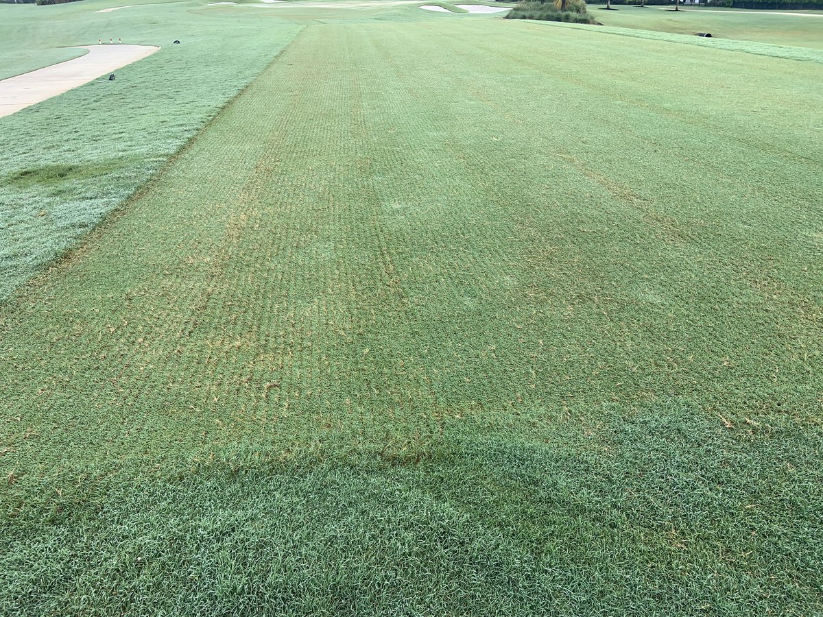 Southern Turfgrass Services tweet media