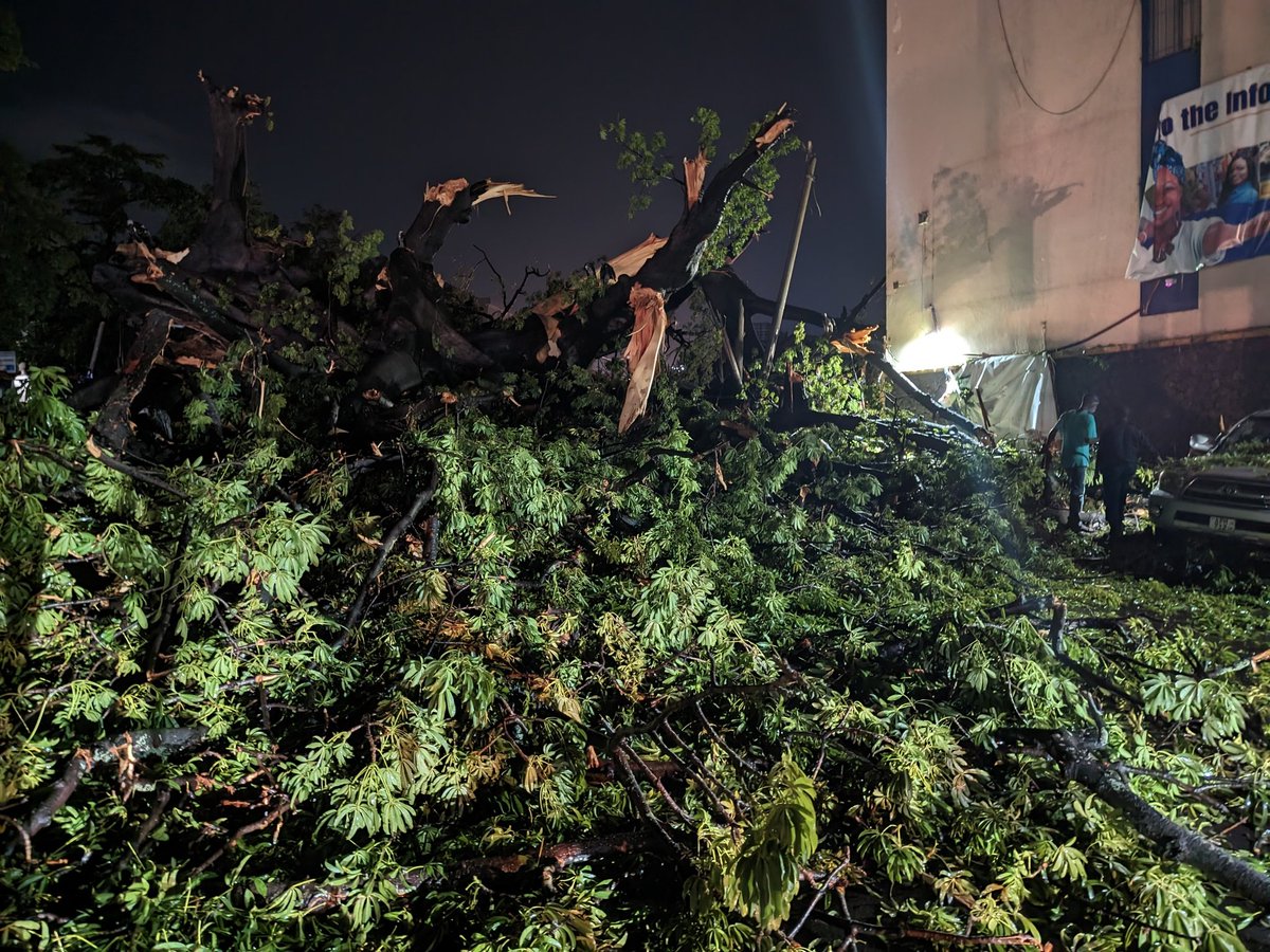 VisitSL's tweet photo. #sierraleone's historic cotten tree succumbs to heavy downpour. What a day. 🥺 https://t.co/aysbGaFYBN