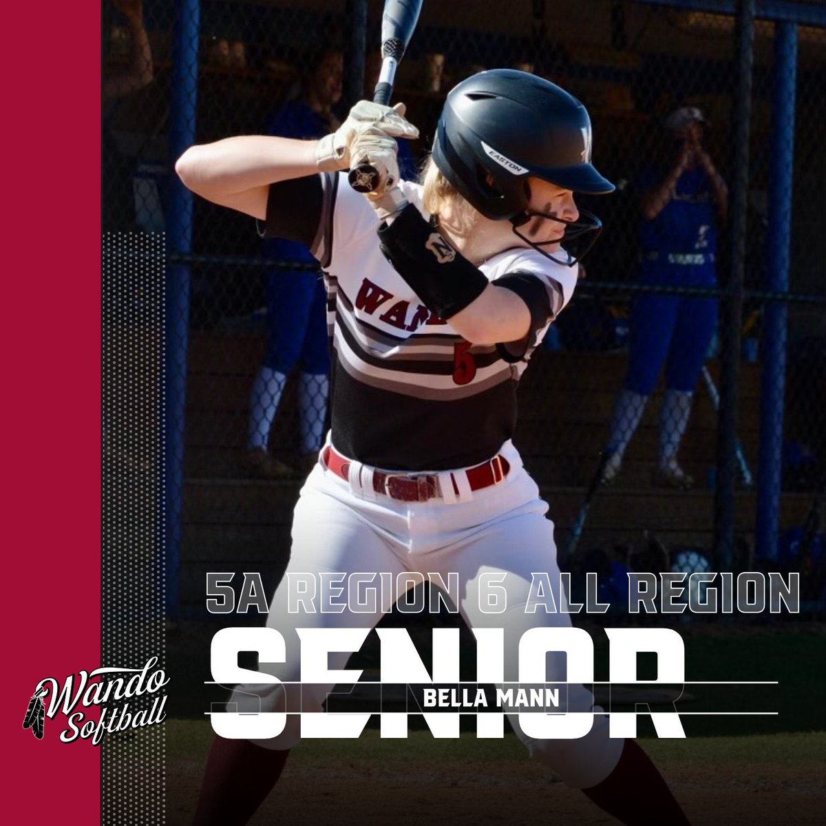 Wando Softball tweet media
