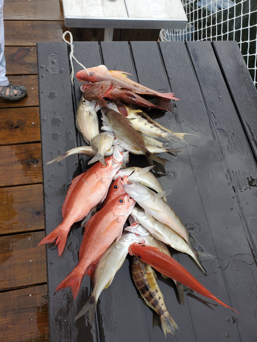 Axelthebigdog's tweet image. Had an awesome day fishing and then bringing them all to a restaurant where they were cooked and served up just a couple hours apart!