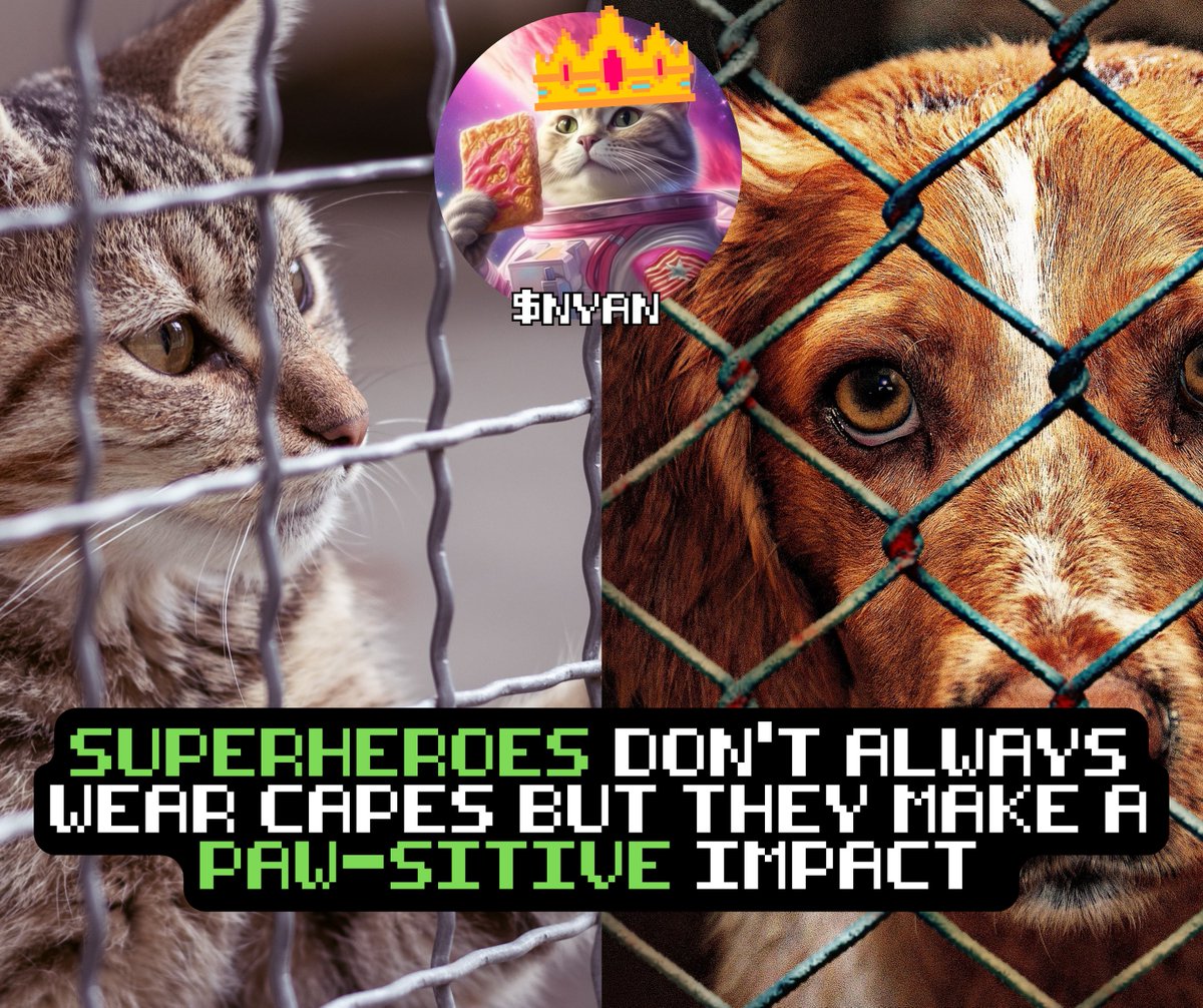 Nyanmemecoin's tweet photo. Are You An Animal Loving SUPERHERO Wanting To Lend a Paw To a Shelter In Need? 🦸‍♀️🦸‍♂️

Reach Out To Us, We'd Love To Hear Your Story 🐾✨

Everyone Of Us NEEDS to BE the Change We Want To See 🙏

$NYAN 👇✉️ https://t.co/NwnFchroYP
