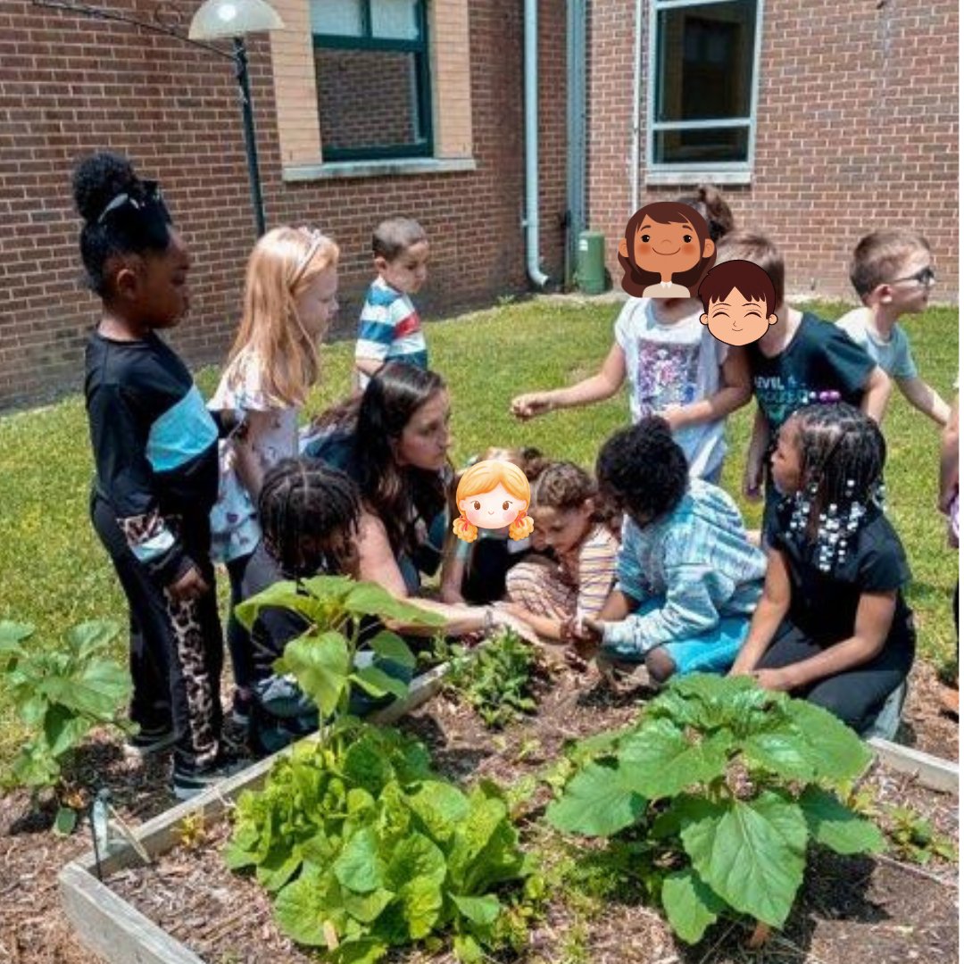 Yorktown Elementary School (@yes_falcons) on Twitter photo <a href="/Mrs_Walling/">MacKenzie Walling</a> and her class studied tops and bottoms plants, found some in our school garden, and had a taste test π₯π₯¬ Mrs. Miller even helped them pick a giant purple carrot! <a href="/Mrs_Walling/">MacKenzie Walling</a> and her class studied tops and bottoms plants, found some in our school garden, and had a taste test π₯π₯¬ Mrs. Miller even helped them pick a giant purple carrot!