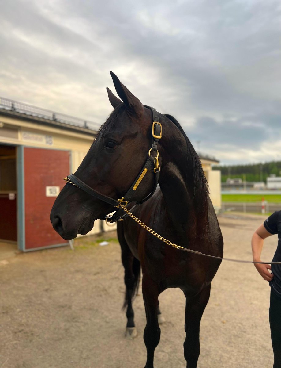 Stall Bergh (@stallbergh) on Twitter photo Dubbel på Bollnäs då Take it easy Tour tog en övertygande seger för <a href="/JonCarremonte/">Jonathan Carré🏇🏻🇫🇷🇸🇪</a> på toppfina 1.13,3/2160m🇨🇵
Därefter vann Allan Zonett i strålande stil när han vann direkt i debuten, då han från utvändigt ledaren vann i säker stil👑🐴 Dubbel på Bollnäs då Take it easy Tour tog en övertygande seger för <a href="/JonCarremonte/">Jonathan Carré🏇🏻🇫🇷🇸🇪</a> på toppfina 1.13,3/2160m🇨🇵
Därefter vann Allan Zonett i strålande stil när han vann direkt i debuten, då han från utvändigt ledaren vann i säker stil👑🐴