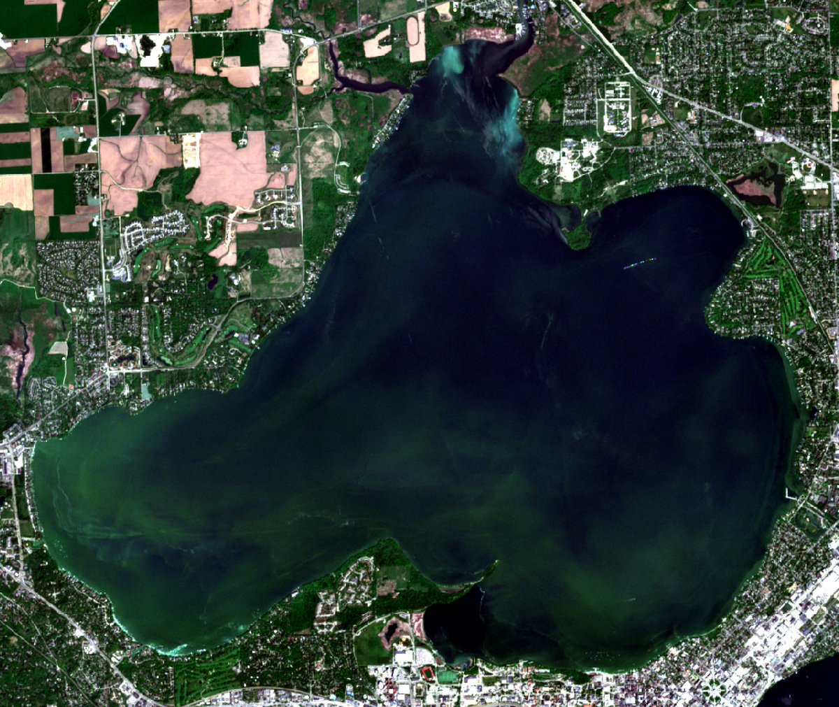 Can confirm that Lake Mendota is currently gross. 

If you process the #Sentinel2 image differently, you can see bright blue (turquoise) at the north of the lake, as well as by Spring Harbor. Dying scums of cyanobacteria? Calcium carbonate precipitation? 

Satellites are cool.