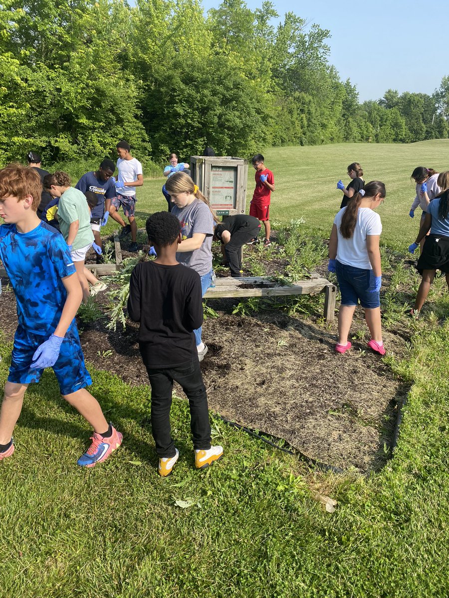 mrsmollywhite's tweet photo. Annual Beautify Blue today for our sixth graders to give back to the school that’s given to them! #bethedifference #wecauselearning @DELCBlue @CoachAcAllen https://t.co/s9bPFH35t3