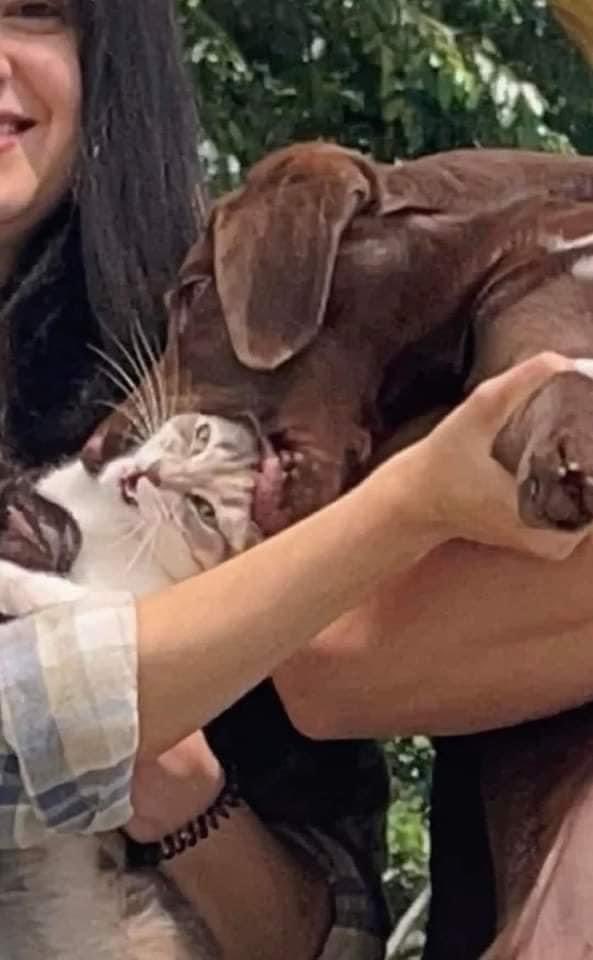 La única foto familiar que aspiro tener