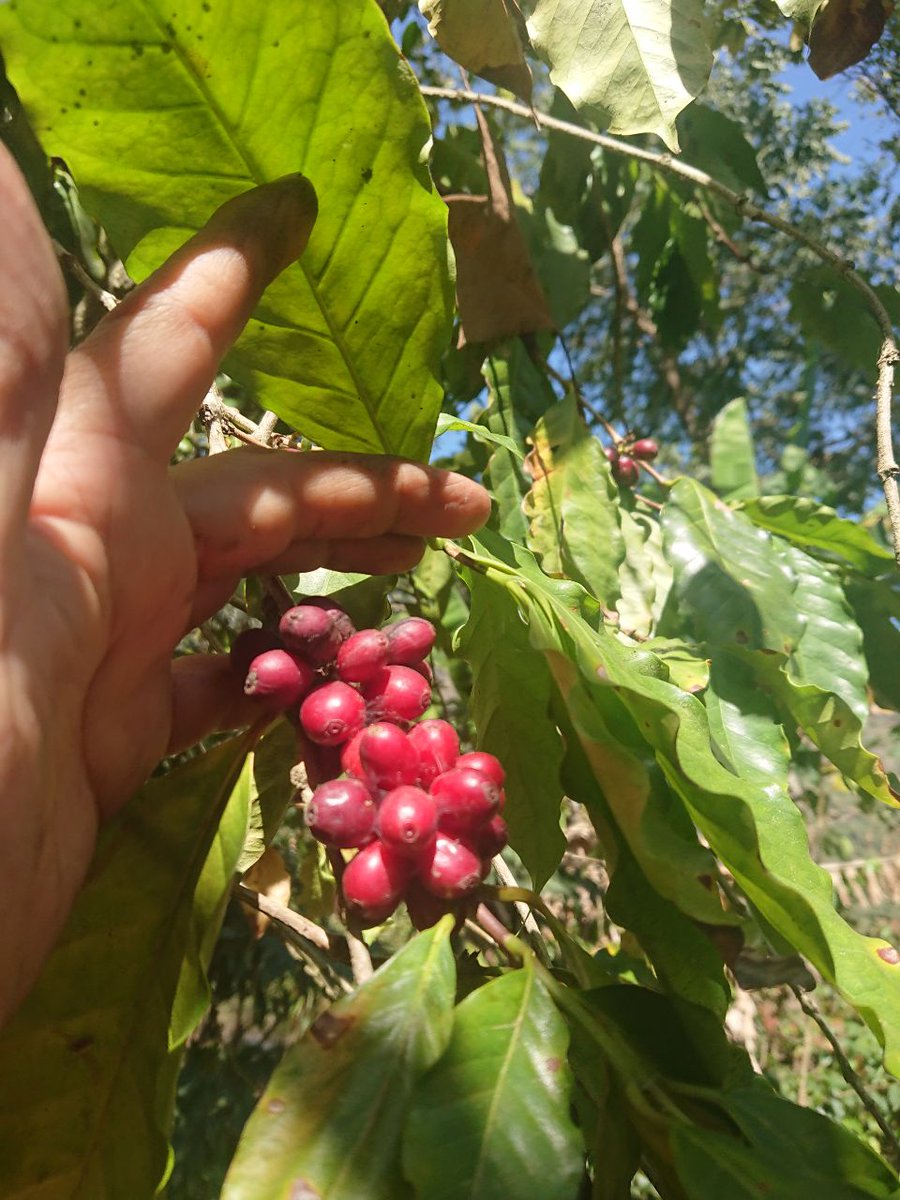 lexAstro's tweet image. 