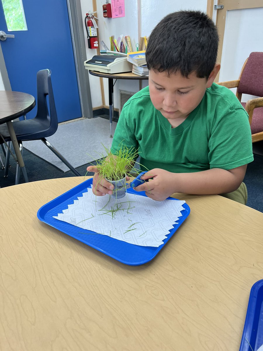 Let's Go Conejo tweet media