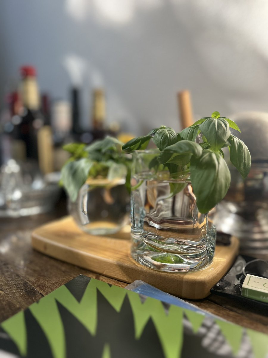 stevewesley's tweet image. #propagate