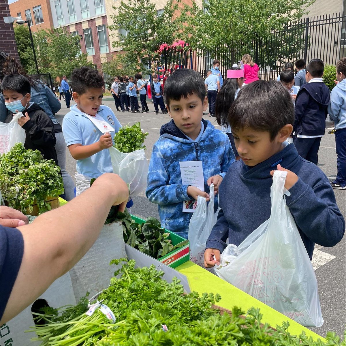 PassaicSchools's tweet photo. 🚨 Exciting news! 🚨 Our Local Food for School Grant event at the Passaic Gifted and Talented Academy was a success! Thank you to the grant, we provide fresh, healthy food to our students. We are truly grateful for everyone involved! #LocalFoodforSchoolsGrant #HealthyKids 🌱🍎 https://t.co/lsJ2G9uNVt