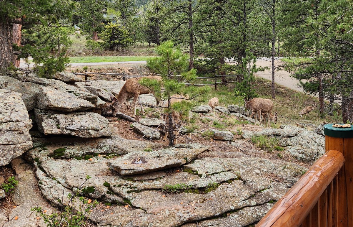 WPF - CMAA #GBR tweet media