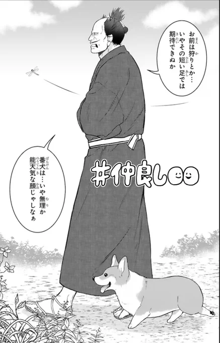 お散歩日和〜🐯🐶♪  #殿と犬 #コーギーのいる暮らし #コーギーを拾った武士の話 