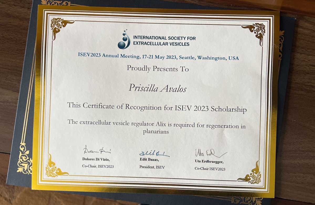 Forsthoefel Lab tweet media