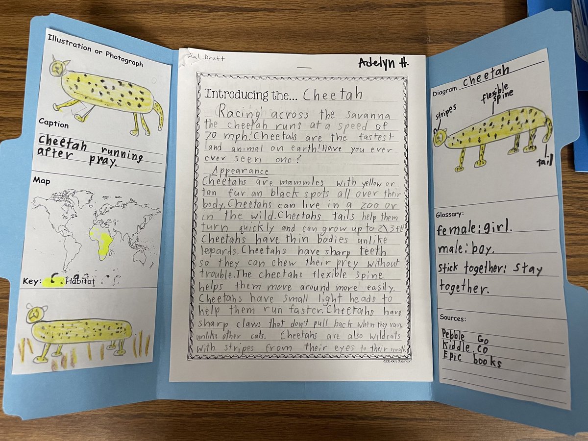 We’ve been hard at work researching an animal to gain facts &amp; knowledge about it to write a research paper including our nonfiction text features! I’m so proud of how well they did &amp; grown in their writing! 🐰🦔🐿️🐼🐨🐢 <a href="/Jack_D_Johnson/">Jack D. Johnson</a> <a href="/MrHolladayJES/">Patrick Holladay</a>  #InspireExcellence