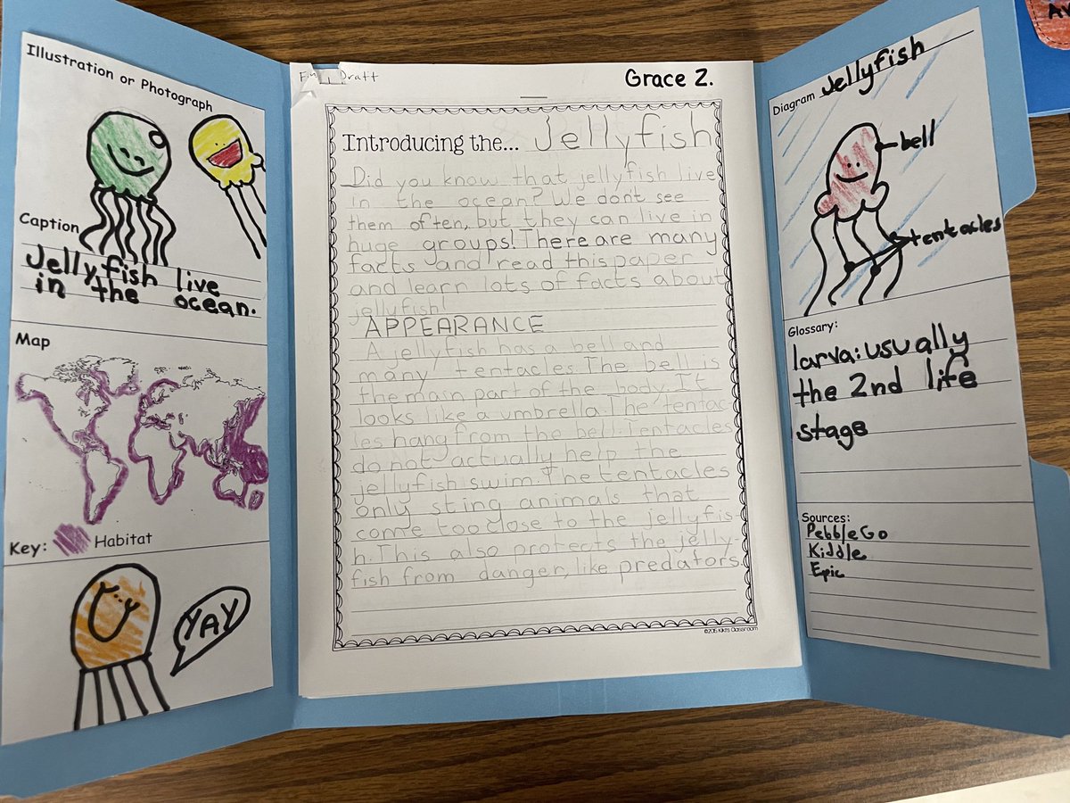 Kaitlyn Davis tweet media