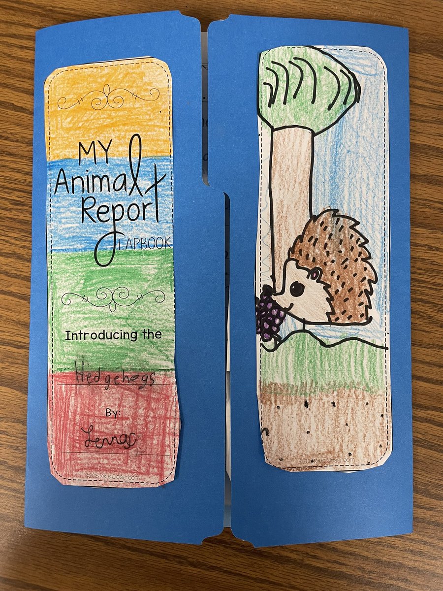 Kaitlyn Davis tweet media