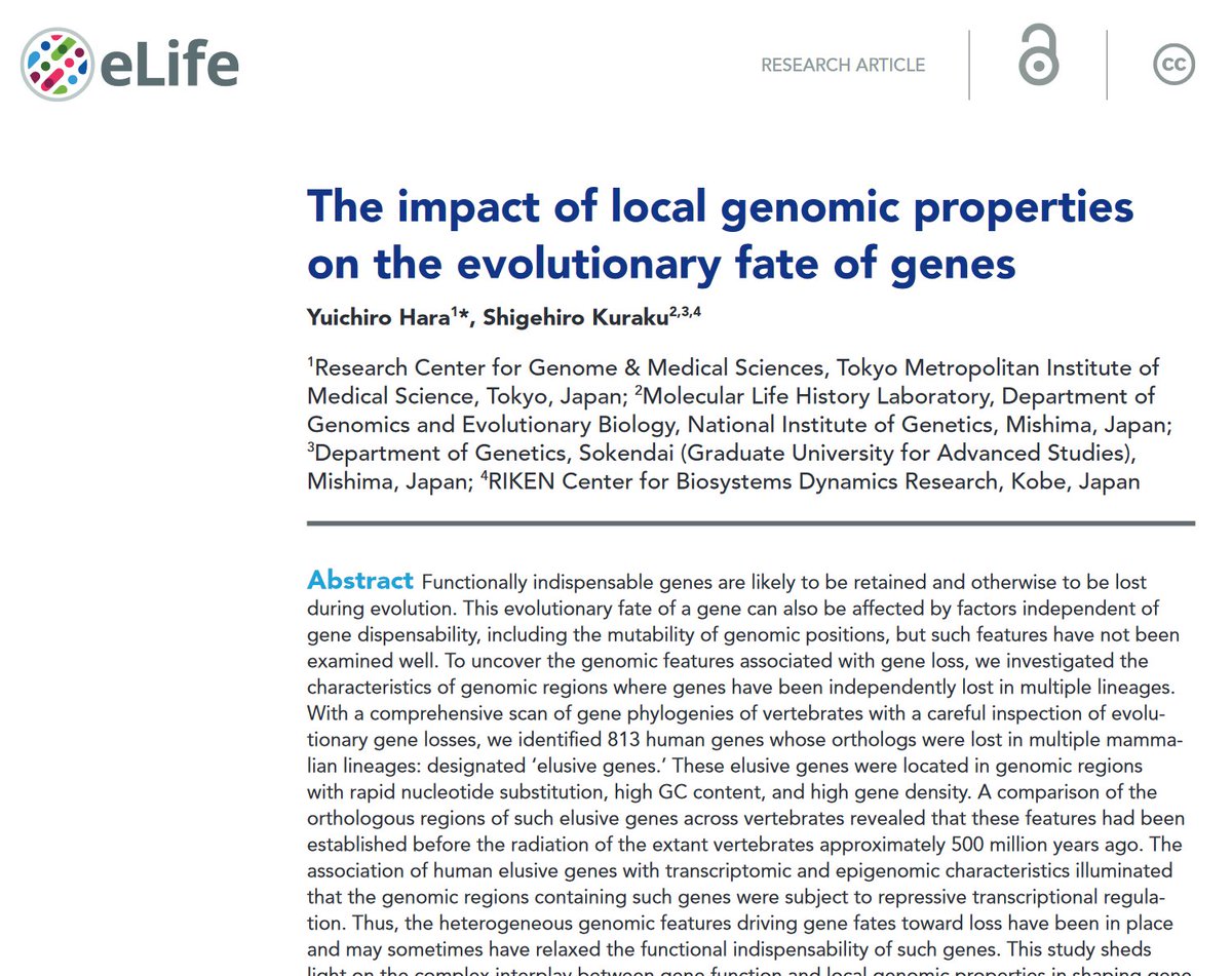 To be, or not to be - gene fate spectrum as a reflection of local genomic properties. 
elifesciences.org/articles/82290

by @Amiacalva 

Our focus on 'elusive genes' that got lost during evolution in multiple times revealed previously unrecognized intragenomic variations.
@elife