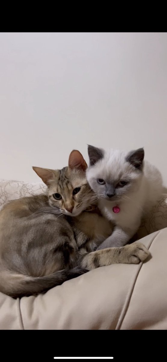 Kalbimi şuraya bırakıyorum 🤍