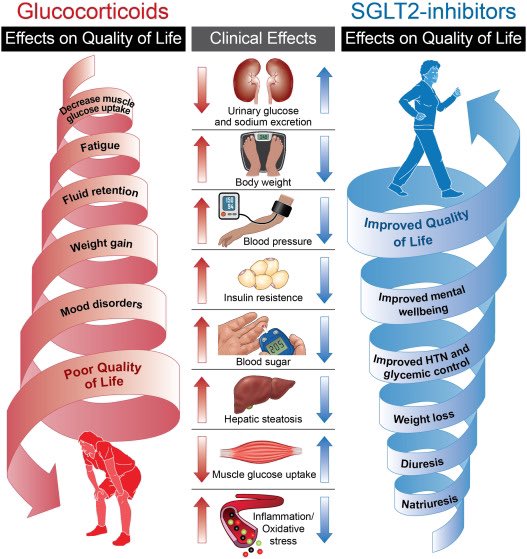 Glucocorticoid use is associated with severe side effects in most patients. SGLT2I have the potential of serving as ideal glucocorticoid “enablers” through biologically opposing mechanisms. Excited to share our viewpoints in #JACCAdv. @JavedButler1 authors.elsevier.com/sd/article/S27…