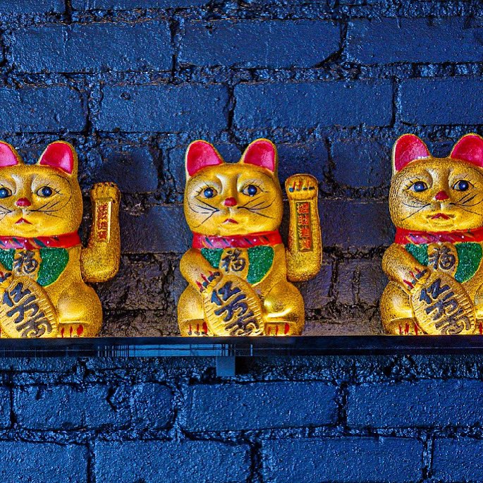 ✨ You’re In The Right Place When You See The Lucky Cats! 🎏 

🦪 Stop In For Oyster Hour • Mon-Th • 4-6pm 🍸
#EatLuckyYu 🥢