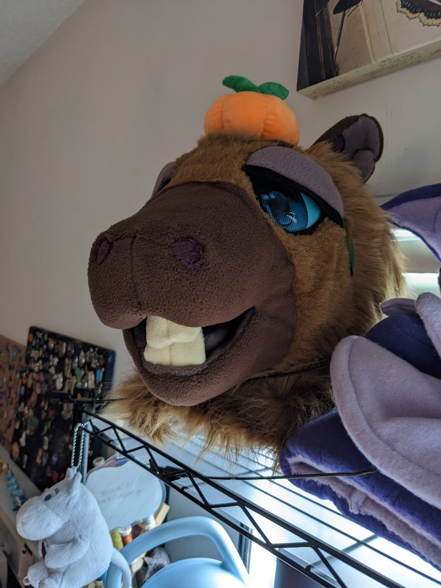 bowsully's tweet photo. @collieflowers_ @zenohyeeno Omg I need to finish redoing mine that I started years ago and then got sidetracked from 😂 This one is so precious, I love!! https://t.co/IVgw9eImHR