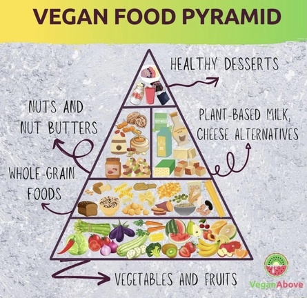veganfuture's tweet photo. https://t.co/jGKVJlKCZD