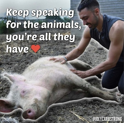 veganfuture's tweet photo. https://t.co/FUSMGr5RCO