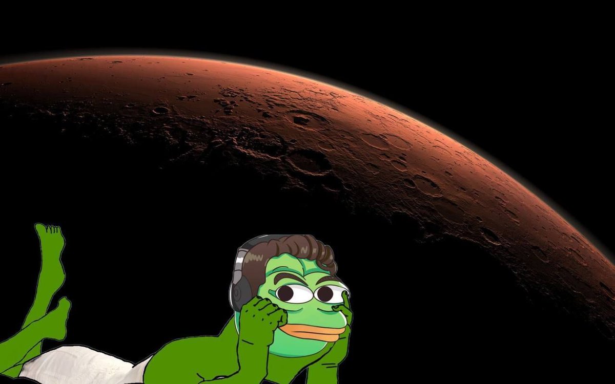 PepeMusk tweet media
