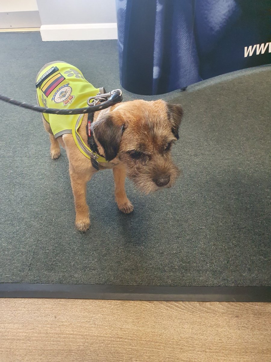 WhhForces's tweet image. Great learning and networking @ForcesWellbeing conference. #VPPP #ArmedForces. All the better with Therapy Dog Ty 😊