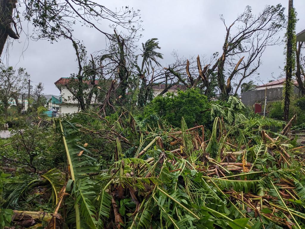 Matthew Kirk tweet media