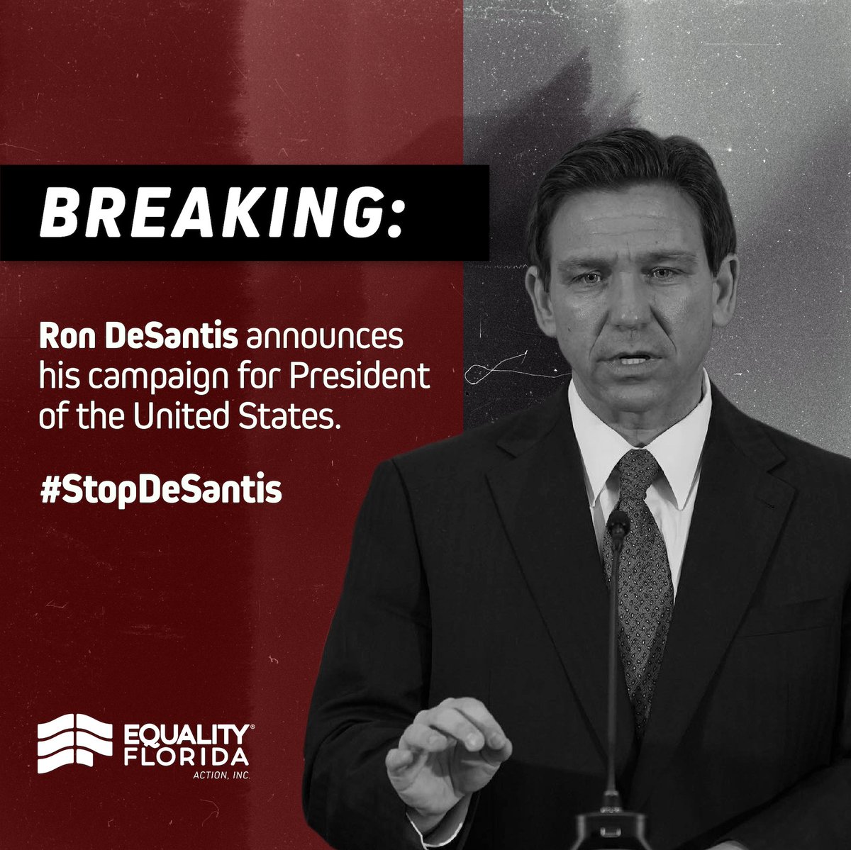 equalityfl's tweet photo. Our vision for America is one with equality for all, where every family is treated with respect &amp; every student is protected. We believe in the power of diversity, inclusion &amp; a thriving democracy.

@GovRonDeSantis opposes everything we believe in — we must #StopDeSantis. https://t.co/6yzVIztU3u