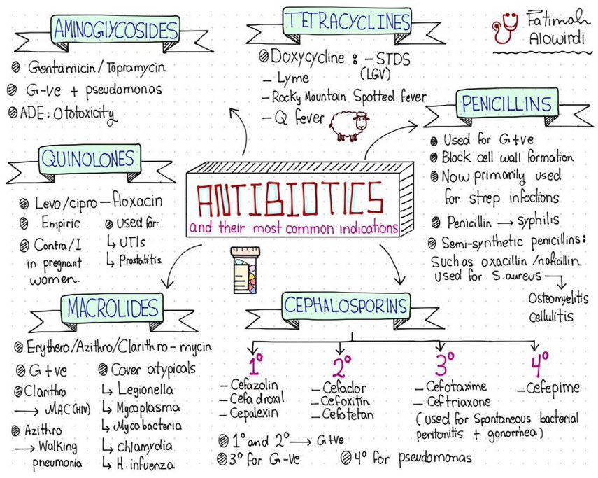 Summary of Antibiotics #MedEd #MedTwitter #antibiotic