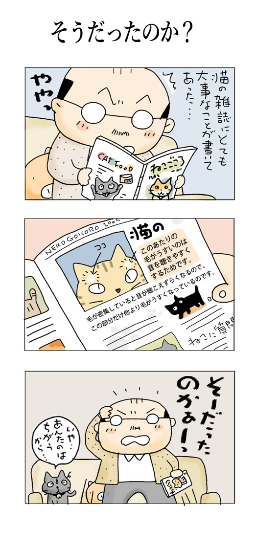 そうだったのか? #こんなん描いてます #自作まんが #漫画 #猫まんが #4コママンガ #NEKO3