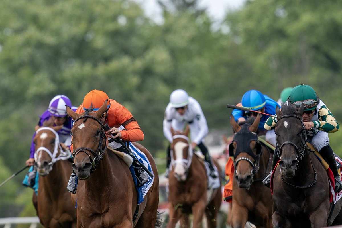 Mathea Kelley (@makmathea4) on Twitter photo Then 👉🏻 Now! Aspray as a foal and winning her most recent start in the Hilltop Stakes at Pimlico! <a href="/LanesEndFarms/">Lane's End</a> #RanJanRacing Then 👉🏻 Now! Aspray as a foal and winning her most recent start in the Hilltop Stakes at Pimlico! <a href="/LanesEndFarms/">Lane's End</a> #RanJanRacing