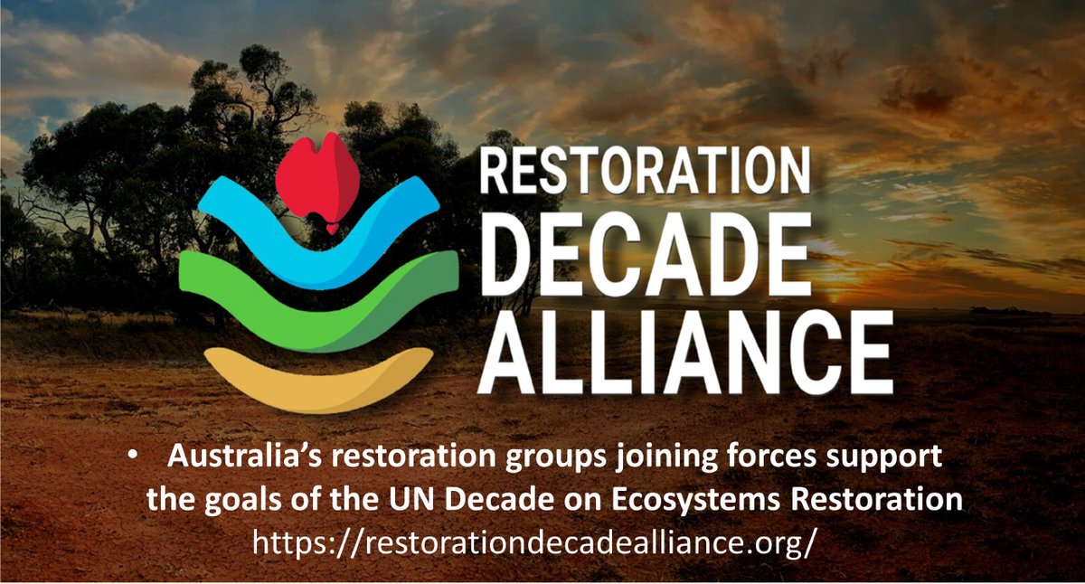 On World Environment Day (5 June) 2 years ago, around 20 Australian restoration organisations joined forces to form the Restoration Decade Alliance to assist our nation’s response to the global call to action🌏

RDA welcomes new Partners! 
restorationdecadealliance.org