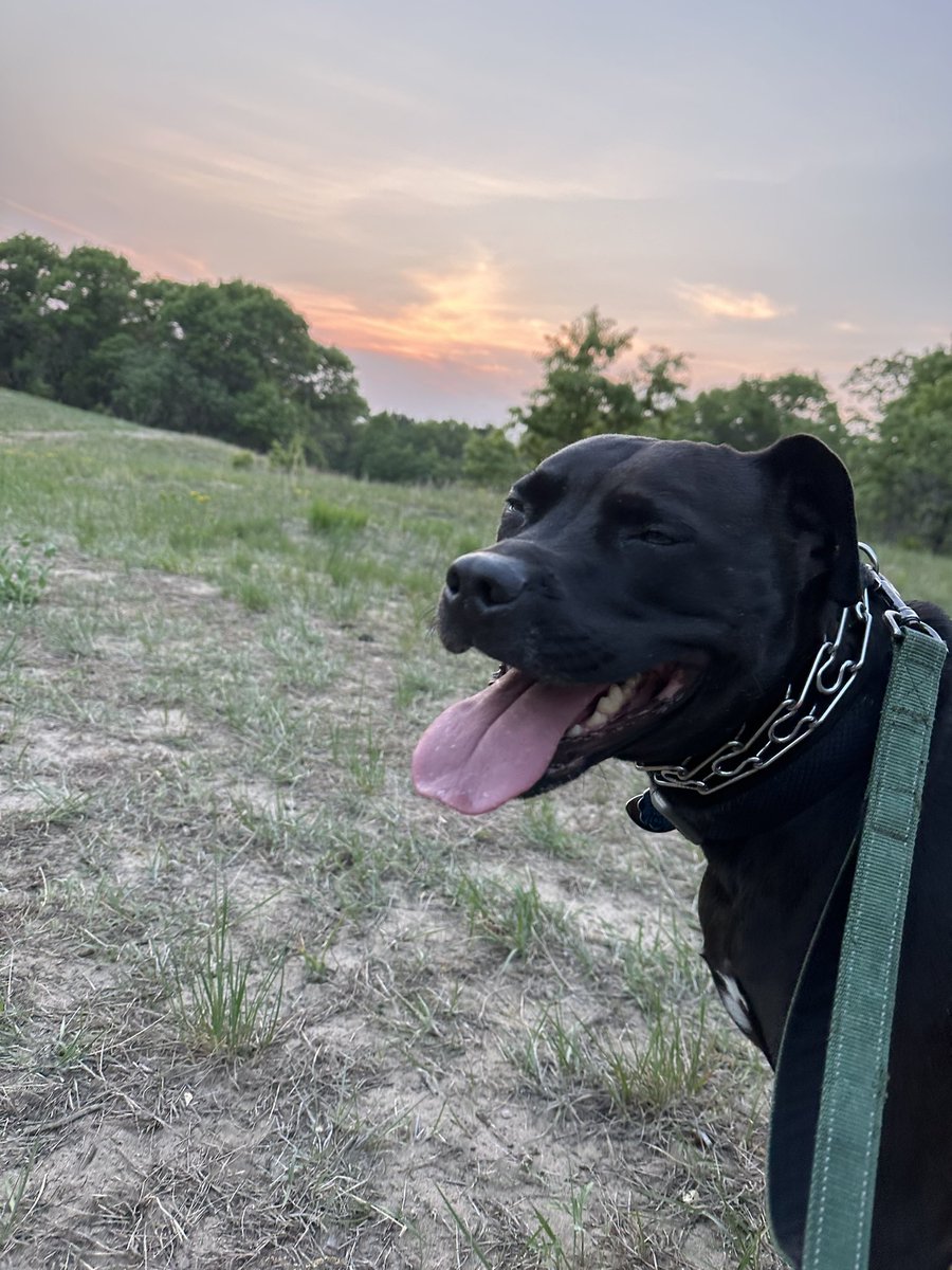 It’s not easy being Gus