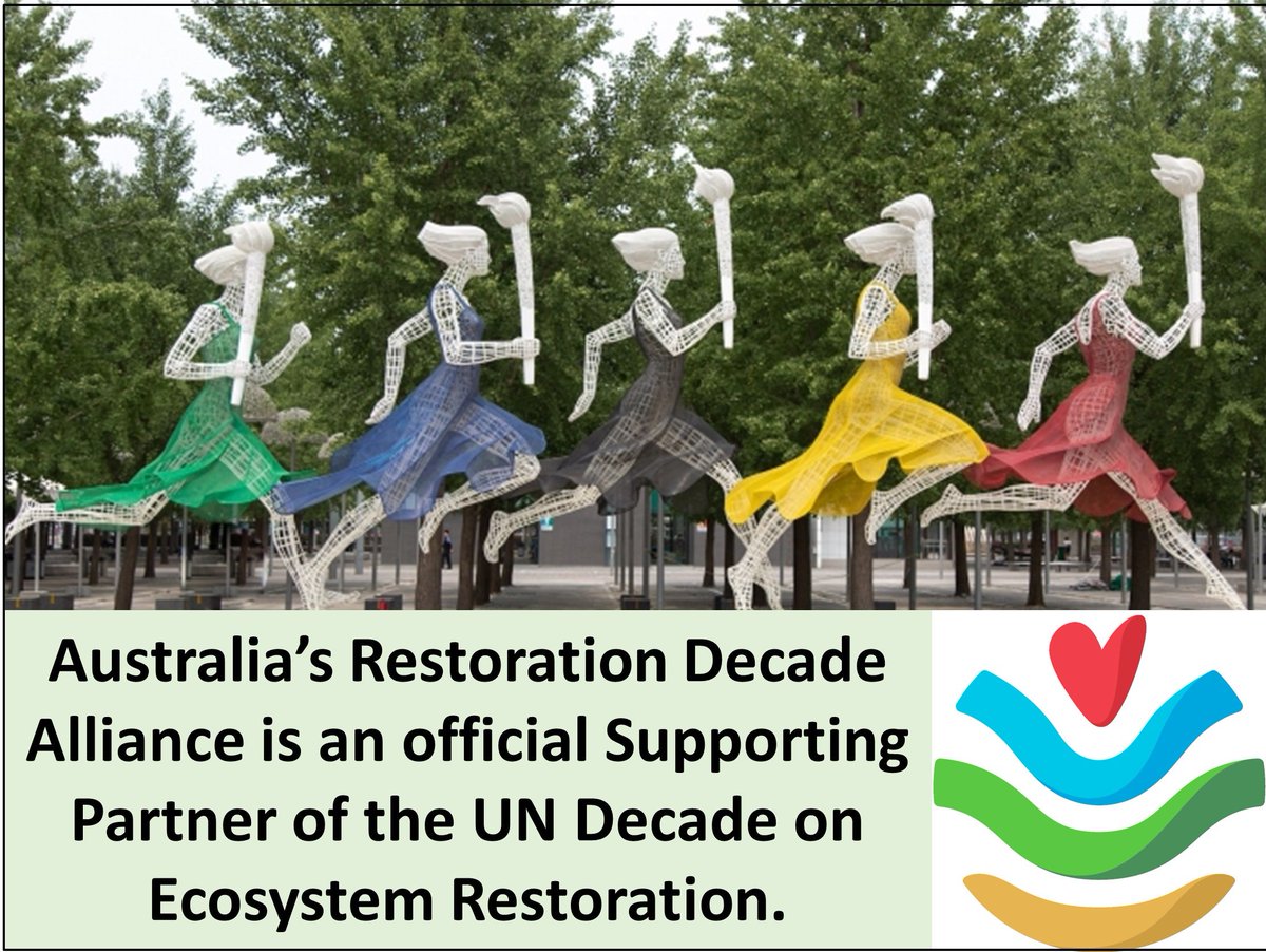 Restoration Decade Alliance tweet media