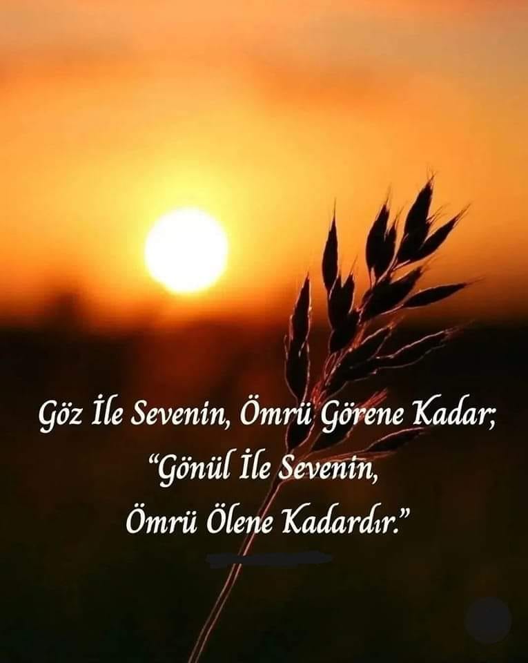 maviboncuk27 (@maviboncuk272) on Twitter photo 