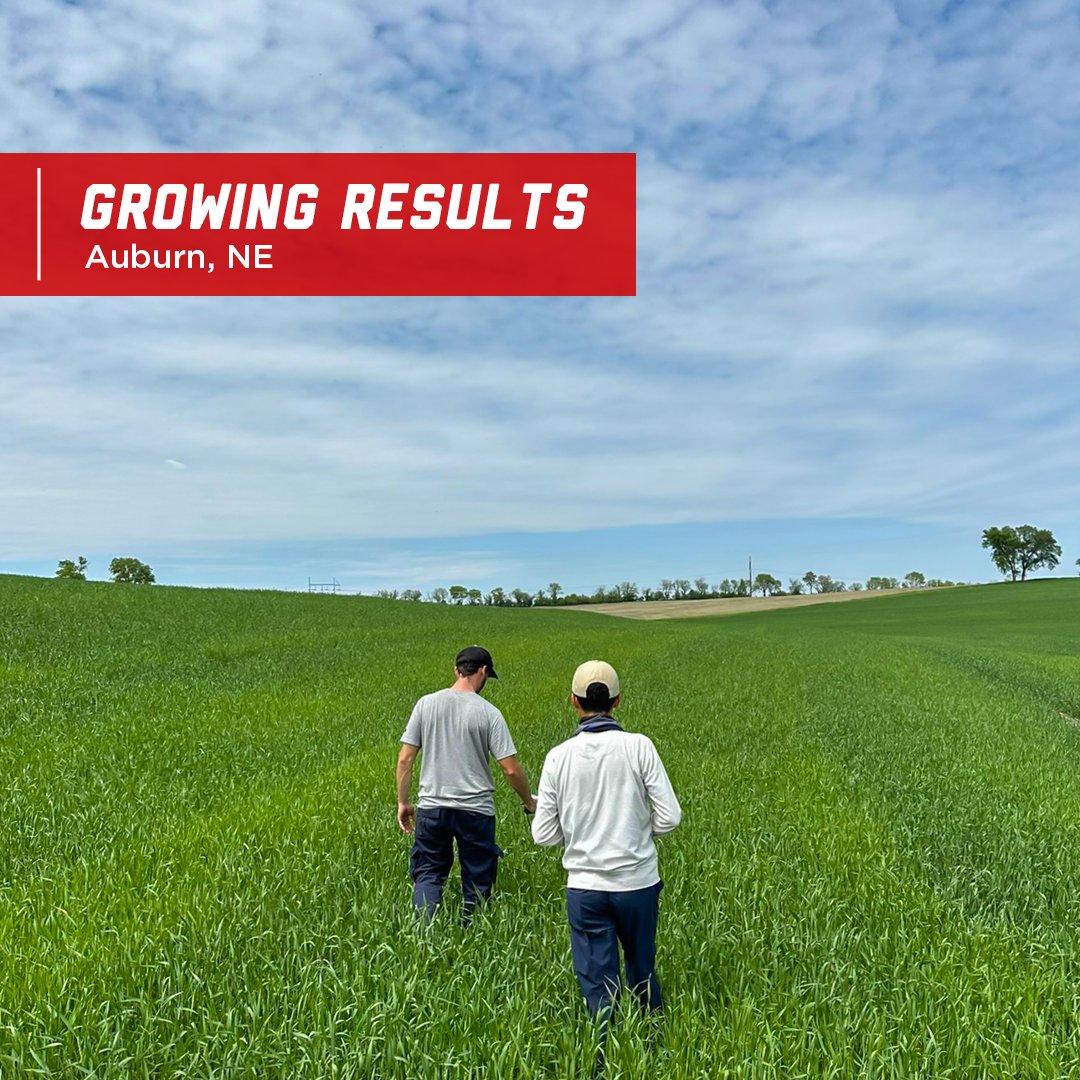 NE On-Farm Research tweet media