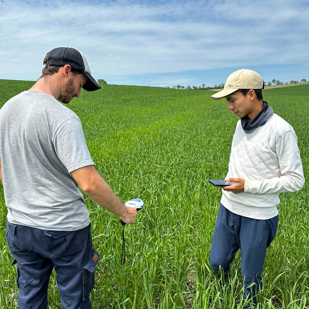 NE On-Farm Research tweet media