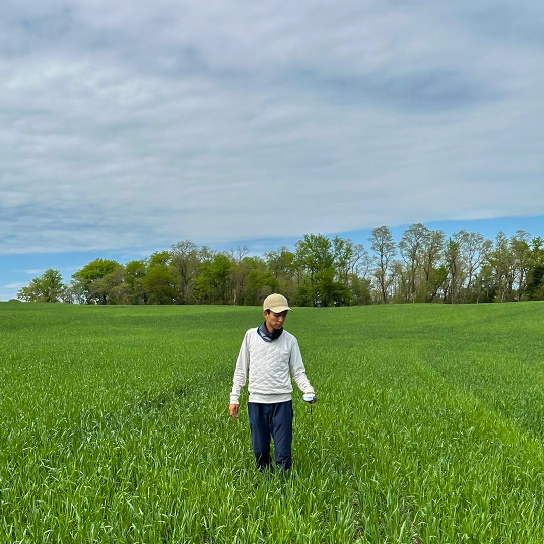 NE On-Farm Research tweet media