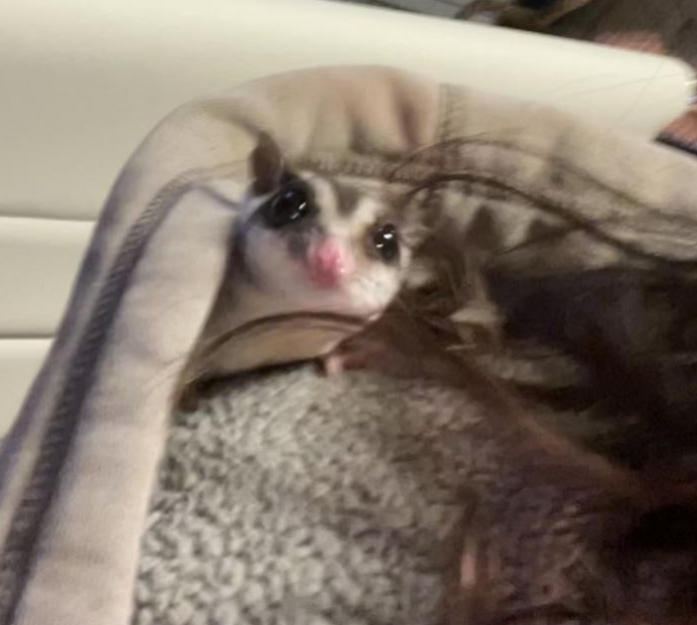 Hanging out in the hoodie