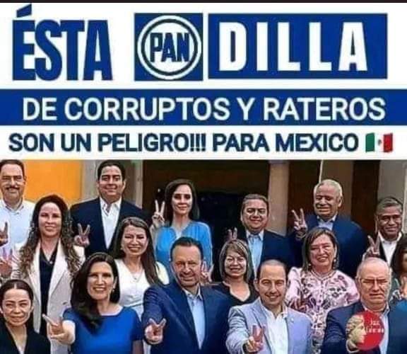 PILUKATRON's tweet photo. Yo , como ciudadana, solicito a la @SCJN y al @INEMexico que destituya en masa al nefasto partido @AccionNacional por delincuencia organizada y violación sistemática de la Constitución.
#AMLOSEQUEDA https://t.co/CQCH9IxpZj