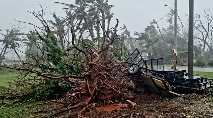 Carlos Juan Semidey tweet media